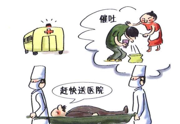 宠物狗食物中毒的处理（如何预防和应对宠物狗的食物中毒？）