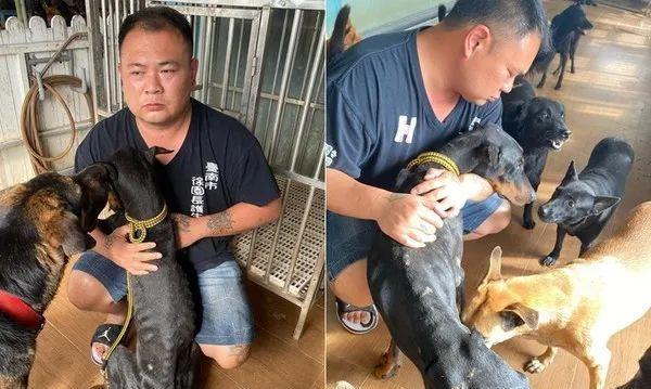 如何应对杜宾犬乱吃东西问题（预防、处理和控制杜宾犬乱吃东西问题的有效方法）