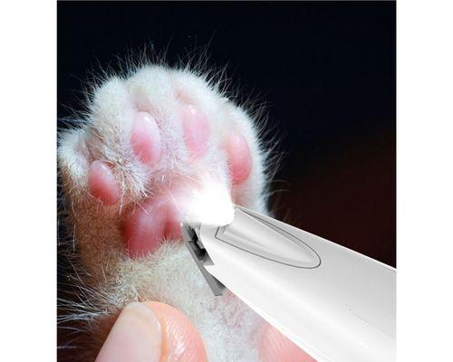 杜高犬脚底的毛该剪吗？（宠物主人必看，关注宠物脚底健康）