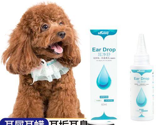 如何保护宠物狗狗的耳朵？（一起来学习如何给狗狗做好耳朵护理吧！）