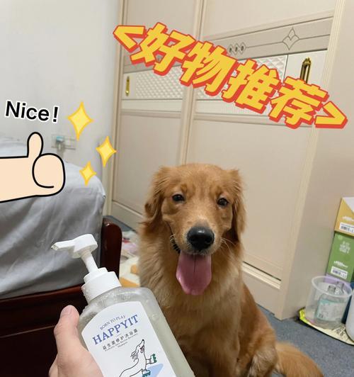 狗狗洗澡的正确流程（宠物健康必备，掌握这些技巧让狗狗更爱洗澡）