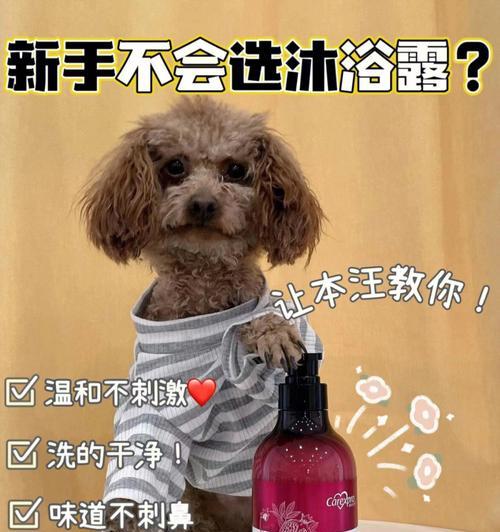 如何正确给宠物狗狗洗澡（六个重要要点让你轻松掌握，让你的狗狗健康美丽）