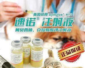 如何给你的宠物狗注射药物（掌握正确的技巧，让药物治疗更有效）