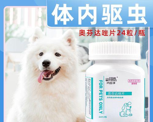 金毛驱虫之注意事项（宠物养护指南，帮你轻松驱虫）