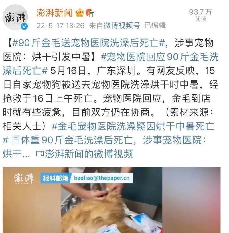 宠物金毛洗澡的注意事项（让你的金毛宠物洗澡更安全）