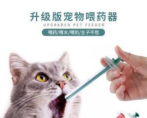 如何给你的猫咪正确喂药（以宠物为主，合理喂药，让它健康快乐成长）