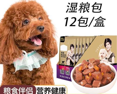 让你的泰迪犬爱上零食！（以宠物为主，给泰迪犬吃零食的好处有哪些？）