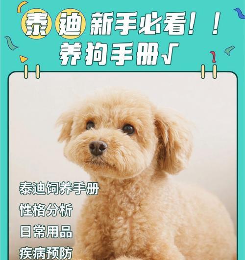 预防狗狗常见病，让宠物健康快乐（宠物狗狗是人类的好朋友，如何预防狗狗常见病呢？）