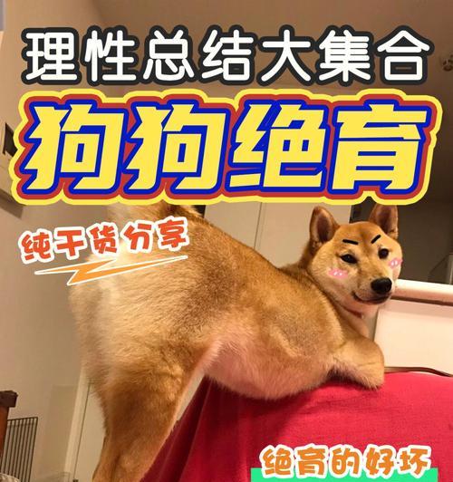 狗狗吃大蒜的惊人好处（让你想不到的宠物营养秘诀）