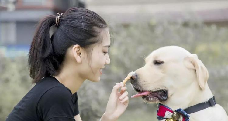 狗狗的喜爱表现方式（以宠物为主，了解你的狗狗如何表达喜爱之情）