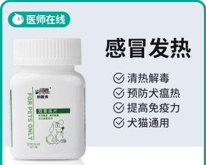 如何帮助狗狗缓解呕吐症状？（了解呕吐的原因，选择合适的药物治疗）