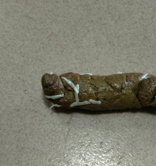 狗狗乱拉便便怎么纠正（以宠物为主，教你一步步纠正狗狗乱拉便便的问题）