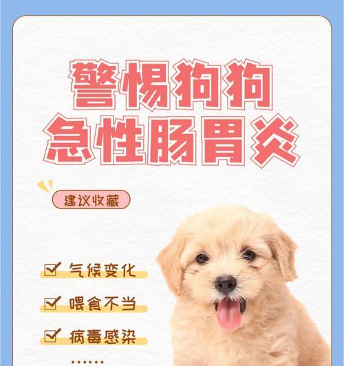 如何识别狗狗脱水并防止其发生（掌握脱水的体征与原因，保护你的爱宠）
