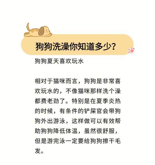 狗狗洗澡知识大全（掌握这些知识，让你的宠物更健康幸福）