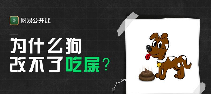 狗狗为什么拉不出便便了？（宠物主人必看，小技巧教你解决狗狗拉肚子的问题）