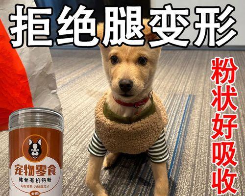 小心！过量补钙可能威胁你的爱犬健康（以金毛犬为例，了解过量补钙的危害和预防措施）