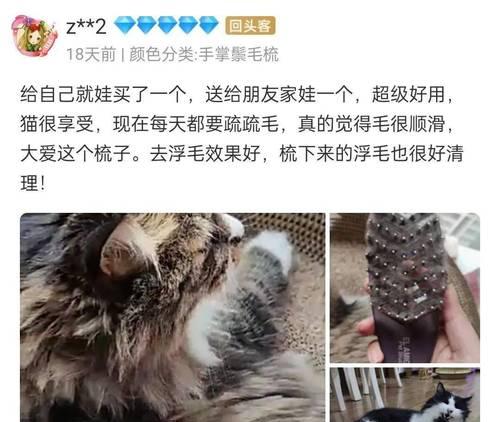 如何关爱宠物在换毛季节的健康（以可卡为例，让宠物在秋冬季换毛时更舒适）