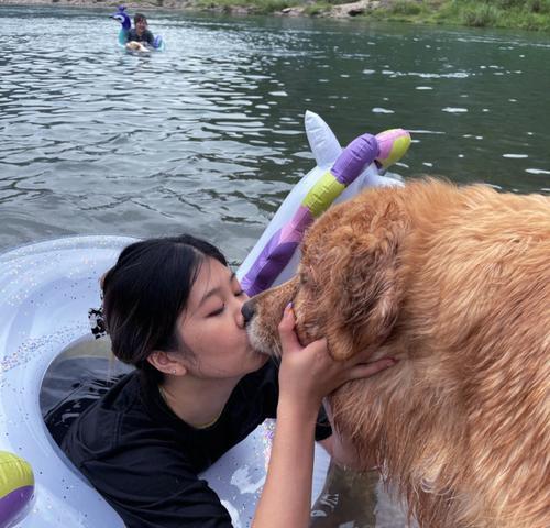 如何让拉布拉多在夏日避暑？（宠物护理技巧，让你的狗狗远离炎热）