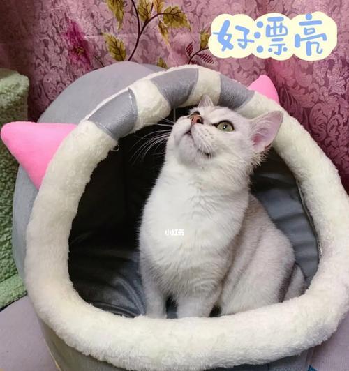 如何让猫咪爱上使用猫窝？（宠物护理必备知识，解决猫咪不爱用猫窝的问题）