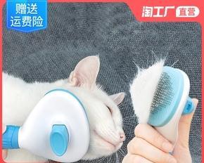 猫咪梳毛的好处（猫咪的健康生活从梳毛开始）