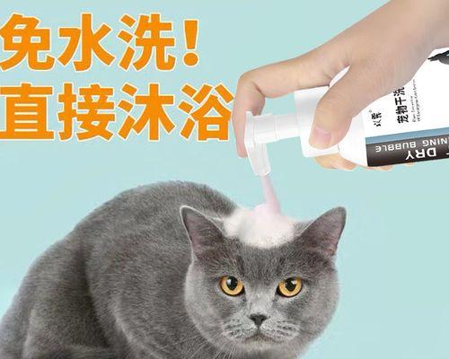 如何选购适合猫咪的沐浴露（以宠物为主，精选15个段落为您详细解析）