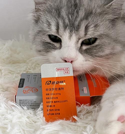 如何给宠物猫咪驱虫？（以平常的方法，让你的猫咪健康又快乐）