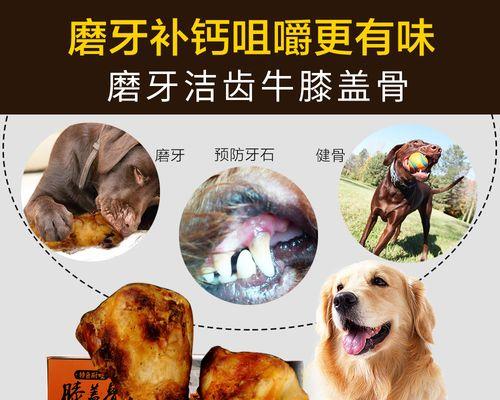 如何帮助宠物狗磨牙？（平常怎么给狗狗磨牙好）