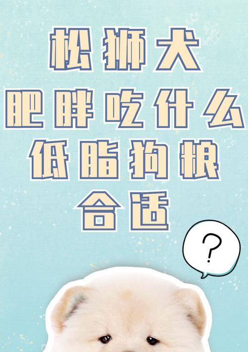 让松狮多吃狗粮的方法（以宠物为主，从饮食入手）