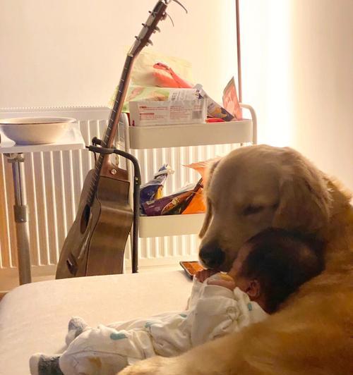 如何培养孩子与宠物之间的良好关系（让孩子与宠物和谐相处的十五种方法）
