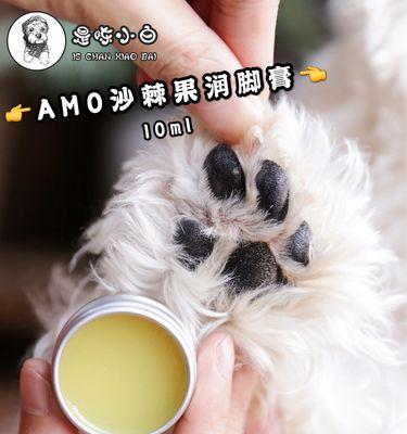 如何养护金毛的脚掌肉垫——关注宠物健康，呵护爱宠幸福