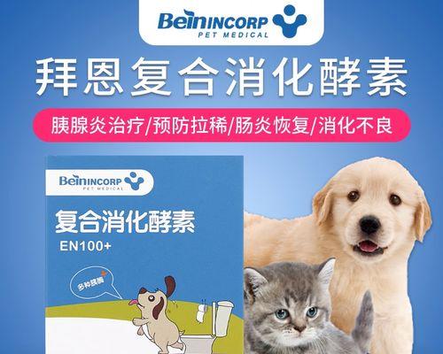 如何预防治疗狗狗肠炎（宠物爱好者必知的肠炎防治攻略）