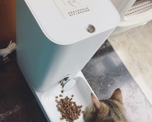 如何为宠物猫定点喂食？（从饮食习惯到设备选择，全面解析）