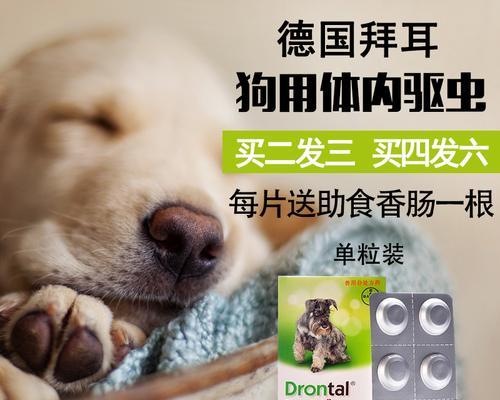 泰迪宠物的驱虫药注意事项（注意宠物健康，正确使用驱虫药）