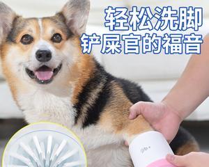 让宠物狗狗洗脚，要注意什么？（宠物狗狗洗脚的正确方法和注意事项）
