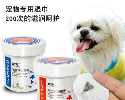 冬季宠物护理攻略（打造温暖的冬日生活）