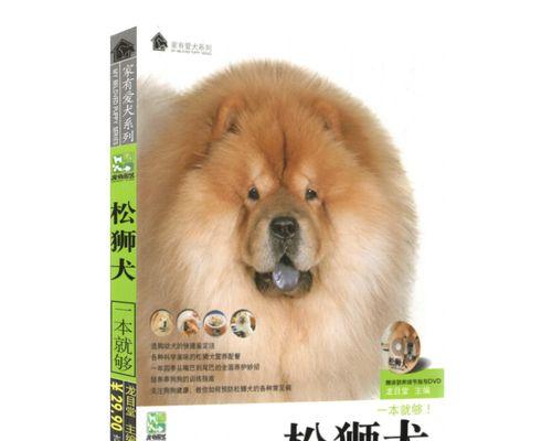 冬季宠物狗养护指南（关爱宠物健康，从冬季养护开始）