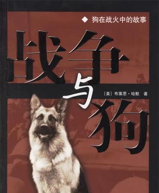 宠物狗狗安全措施，让您放心出门（保障狗狗安全的必备措施，让您出门无忧）