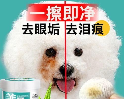 宠物狗狗眼睛保健手册（如何正确护理你的狗狗眼睛，让它们健康快乐）