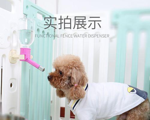 狗狗每天喝多少水才够？（了解宠物饮水量的重要性）