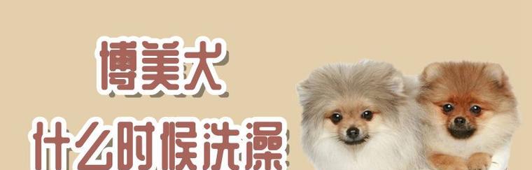 夏季狗狗洗澡注意事项（如何在夏季给你的爱犬洗个舒爽澡？）