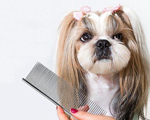 如何给宠物狗狗梳理毛发（全面掌握宠物狗狗的美容秘诀）
