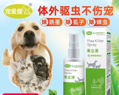 贵宾犬跳蚤治疗指南（宠物爱护从预防跳蚤开始）