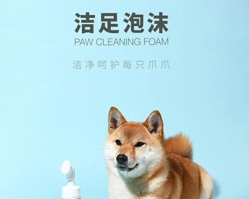 如何给宠物狗洗脚（宠物狗的足部护理技巧、如何减少狗狗洗脚的烦恼）
