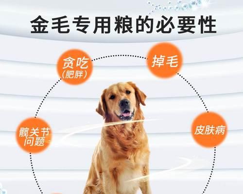 从几个月开始，如何补钙？（从几个月开始，如何补钙？）