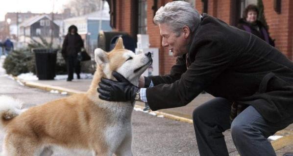 宠物狗的心理健康问题——以秋田犬为例（探究秋田犬会否得抑郁症的原因和预防方法）