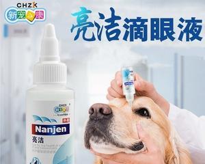 如何正确给宠物狗狗滴眼药水？（宠物狗狗的眼睛需要特别关注，正确滴眼药水是关键！）