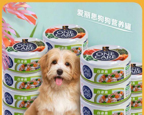 如何呵护狗狗的肠胃（宠物养护指南，让你的狗狗健康成长）