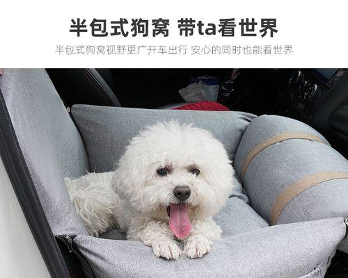 如何训练宠物狗狗坐车（打造安全舒适的旅途体验）