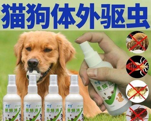 如何正确给宠物狗狗除虱（宠物狗狗除虱的必要性及正确方法）