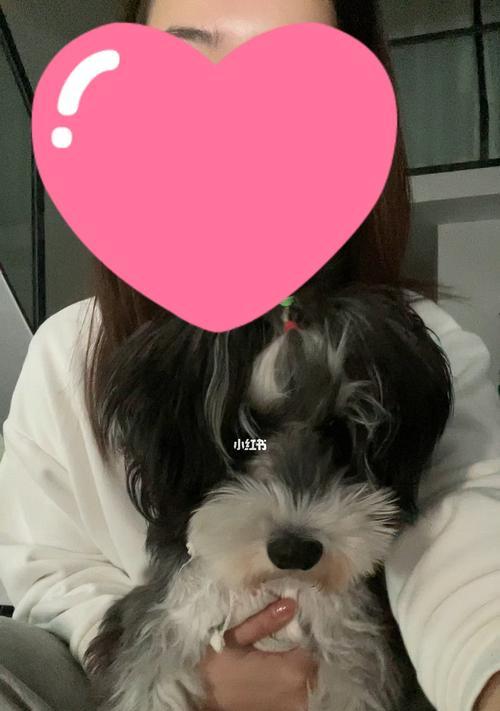 打小狗的后果（凶犬的遭遇与责任心）